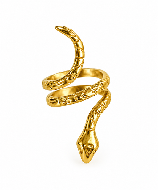 Looping Snake Ring | Transformation + Power