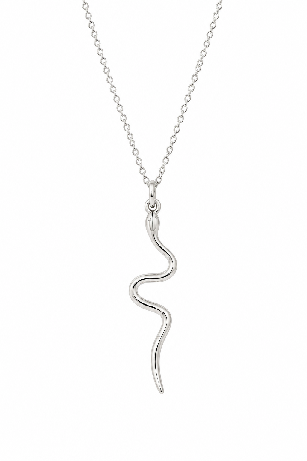 Silver Snake Necklace | Transformation + Power