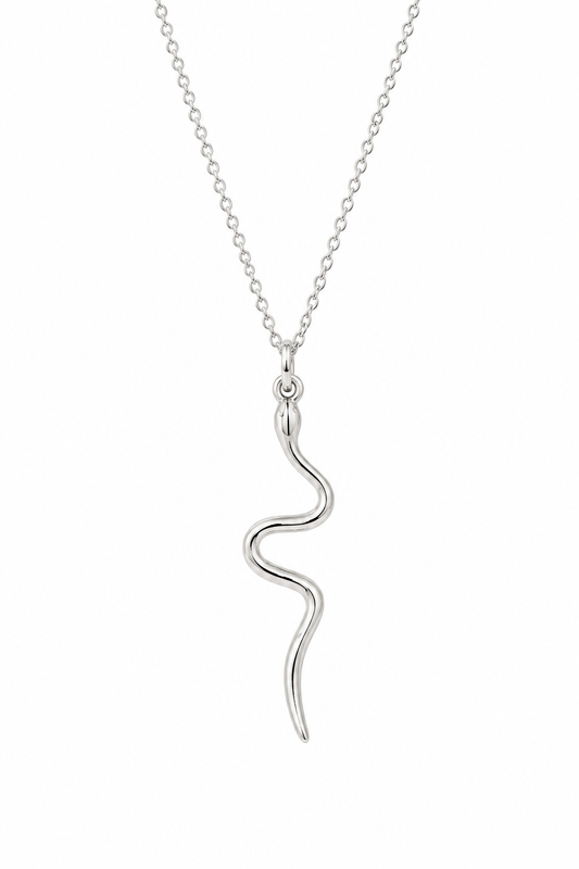 Silver Snake Necklace | Transformation + Power