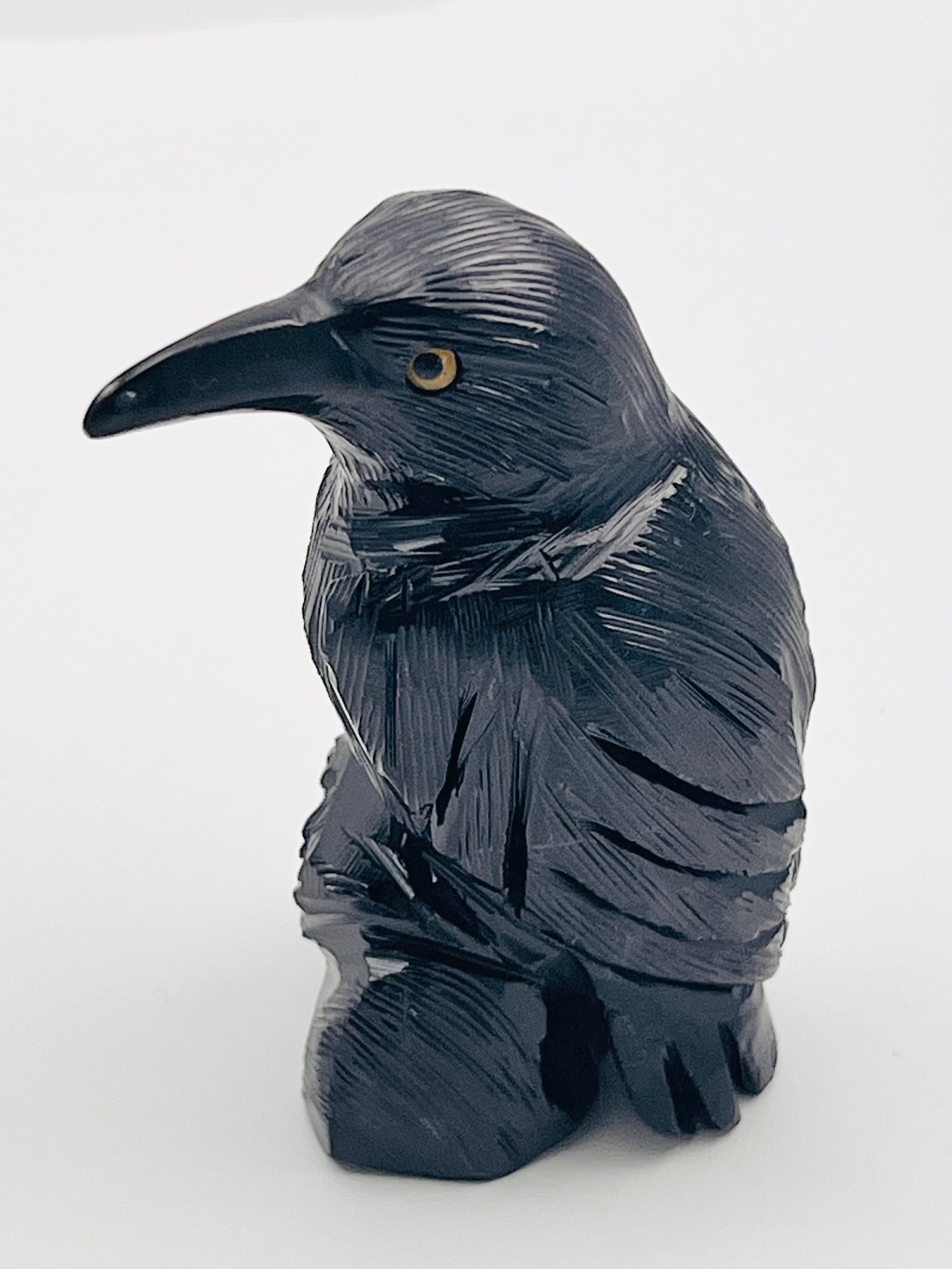 Black Obsidian Raven