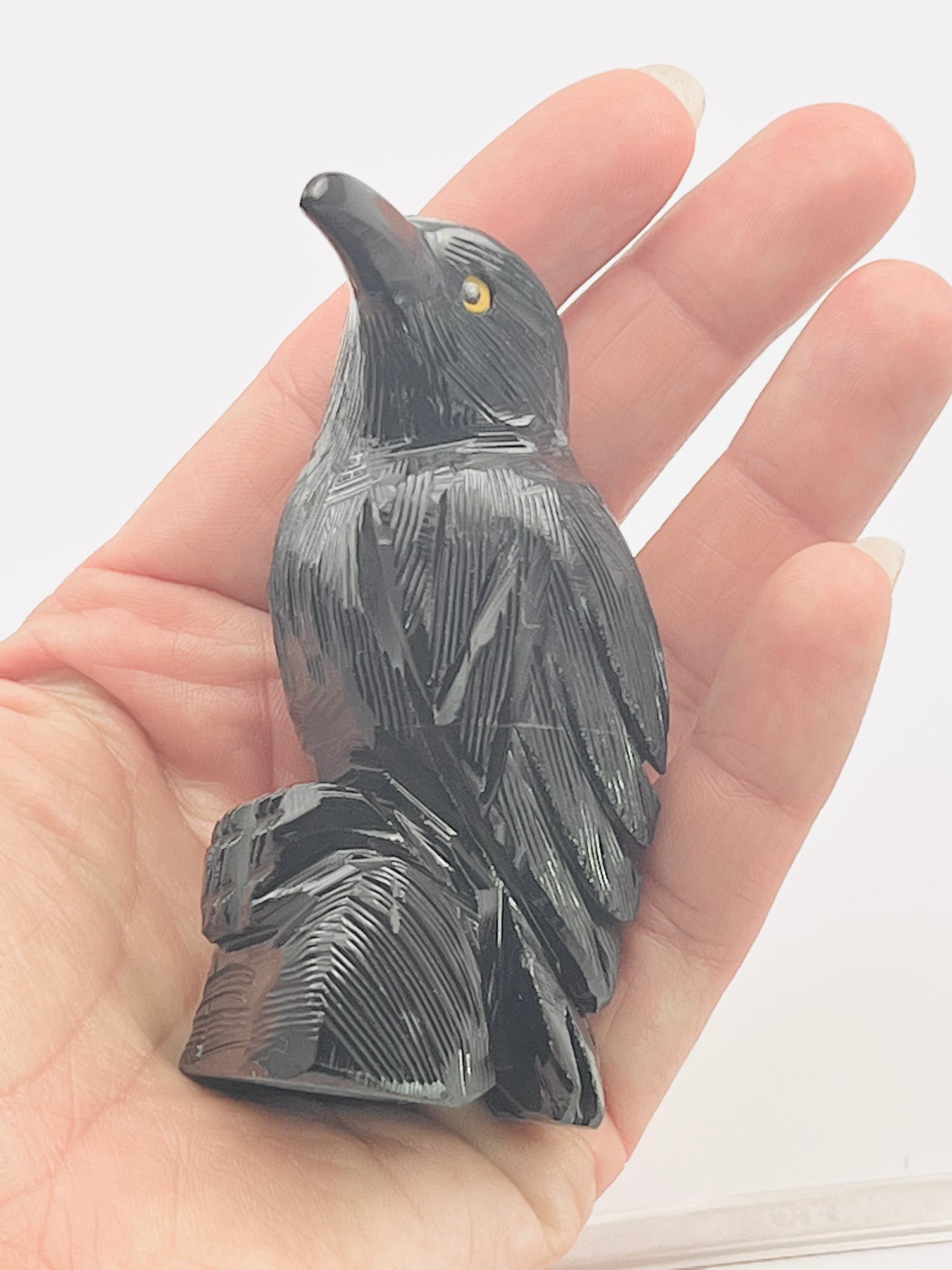 Black Obsidian Raven