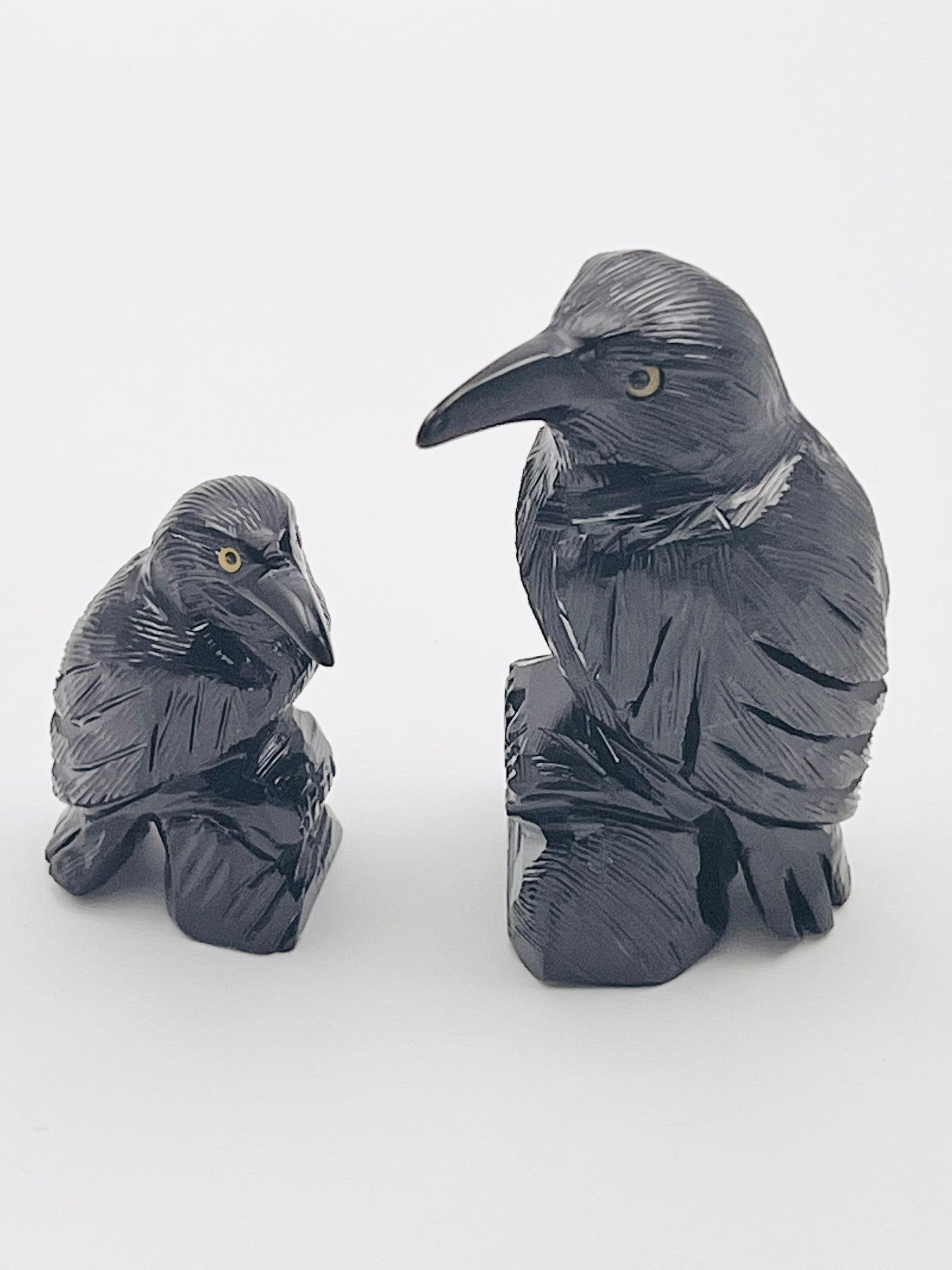 Black Obsidian Raven
