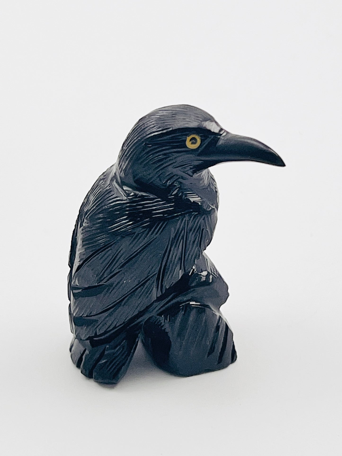 Black Obsidian Raven